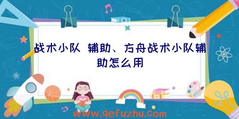 战术小队